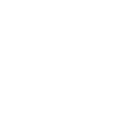 Stretcher Bearer